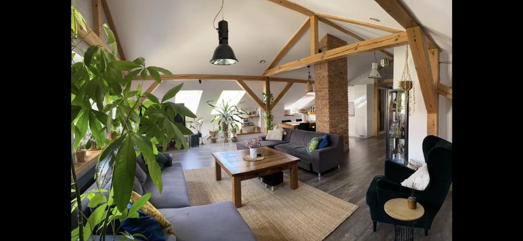 Χώρος καθιστικού στο Żeromskiego Apartament