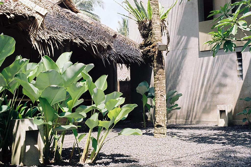 Ein Garten an der Unterkunft Bale Karang Cottages
