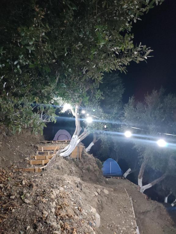 Fotografie z fotogalerie ubytování Blue Camping in Borsh, Vlorë v destinaci Borsh