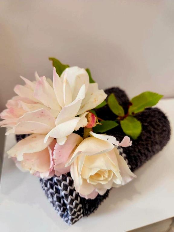 Petite on Regent - Resim 13