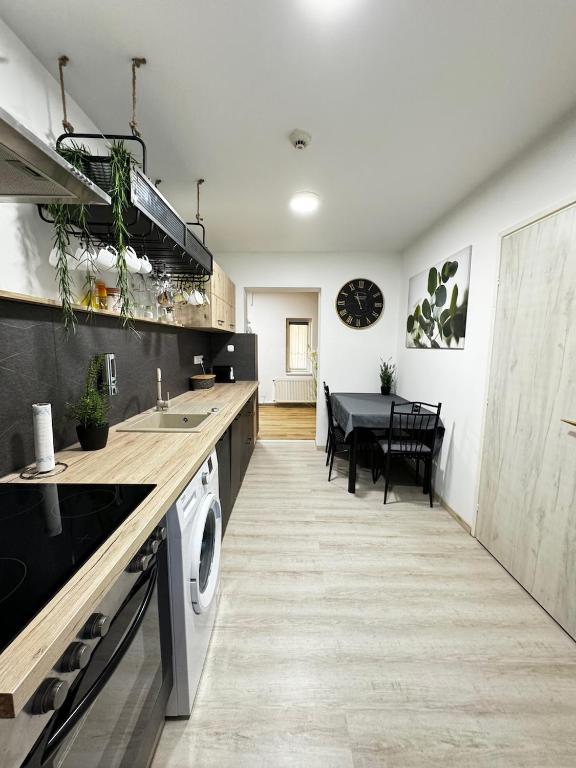 a kitchen with a sink and a dishwasher at SZE Business Apartman in Győr