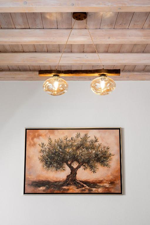 Fotografie z fotogalerie ubytování Papadia Luxury Apartments v destinaci Pitsidia