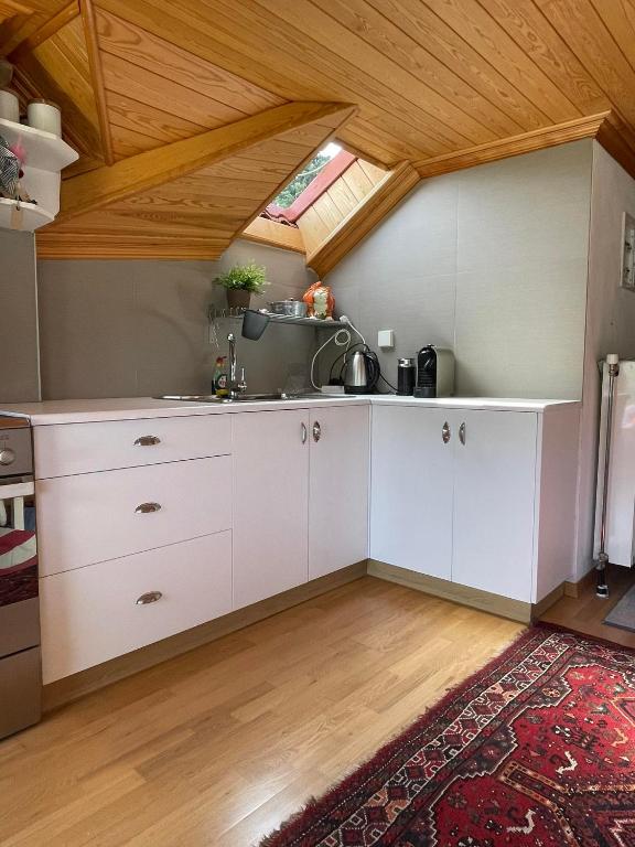 Kuchyň nebo kuchyňský kout v ubytování Kostis Central Loft