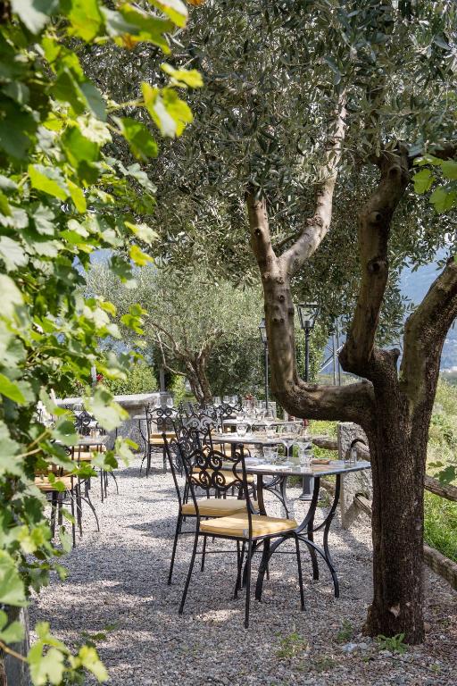 Zahrada ubytování Fattoria l'Amorosa