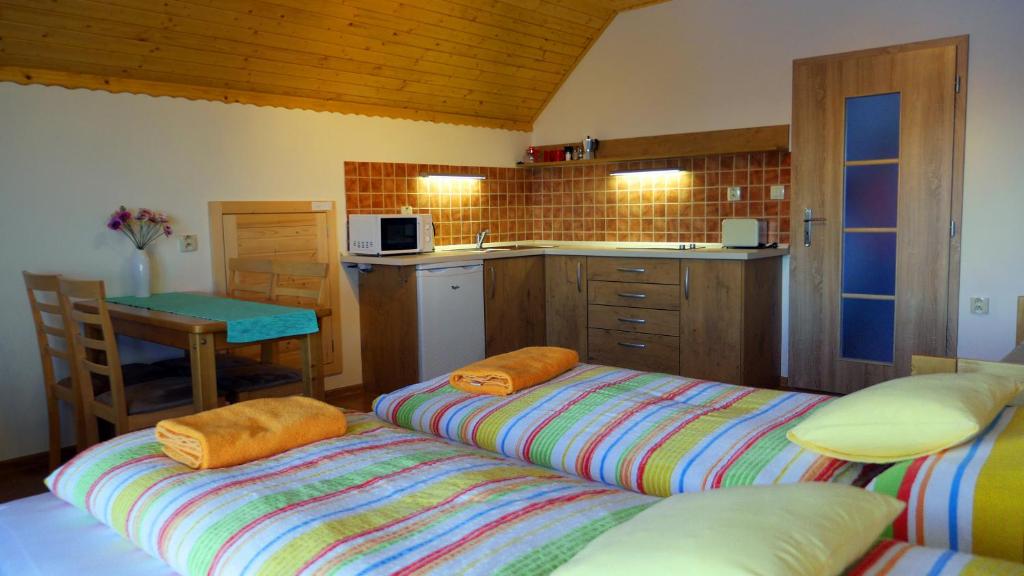 Kuchyňa alebo kuchynka v ubytovaní Apartmány Vista