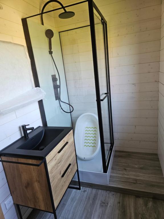 Kuchyň nebo kuchyňský kout v ubytování Gîte nature en Alsace Bossue