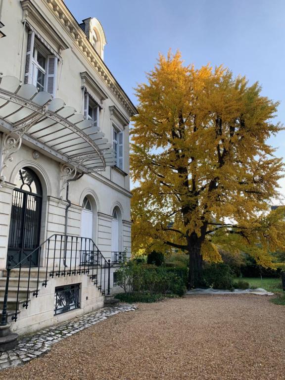 un arbre devant un bâtiment blanc avec un escalier dans l'établissement A l'abri du Ginkgo, à Tours