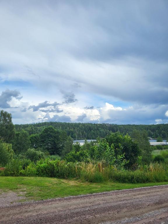 ein Feldweg neben einem Feld mit Bäumen in der Unterkunft Landet in Åby