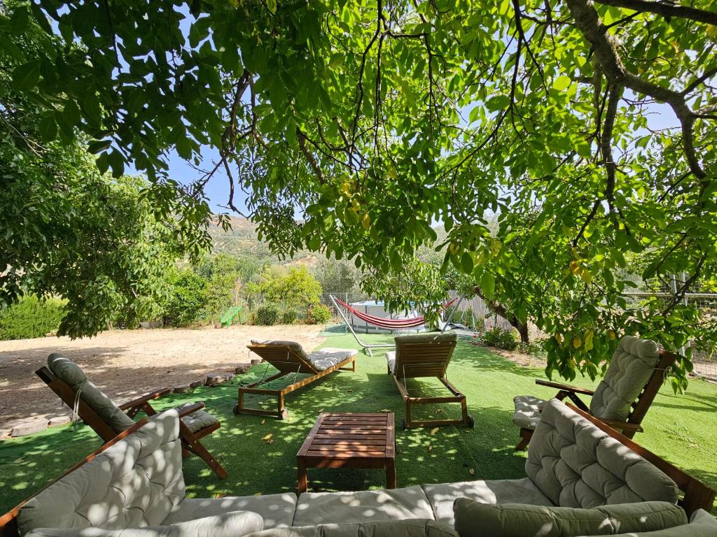 a group of chairs and tables under a tree at La huerta del Castillo con su Caz de agua - Enjoy Life & Relax in Castillo de Locubín