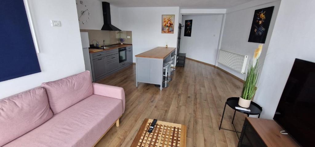 Kuchyň nebo kuchyňský kout v ubytování Apartamente Dragasani