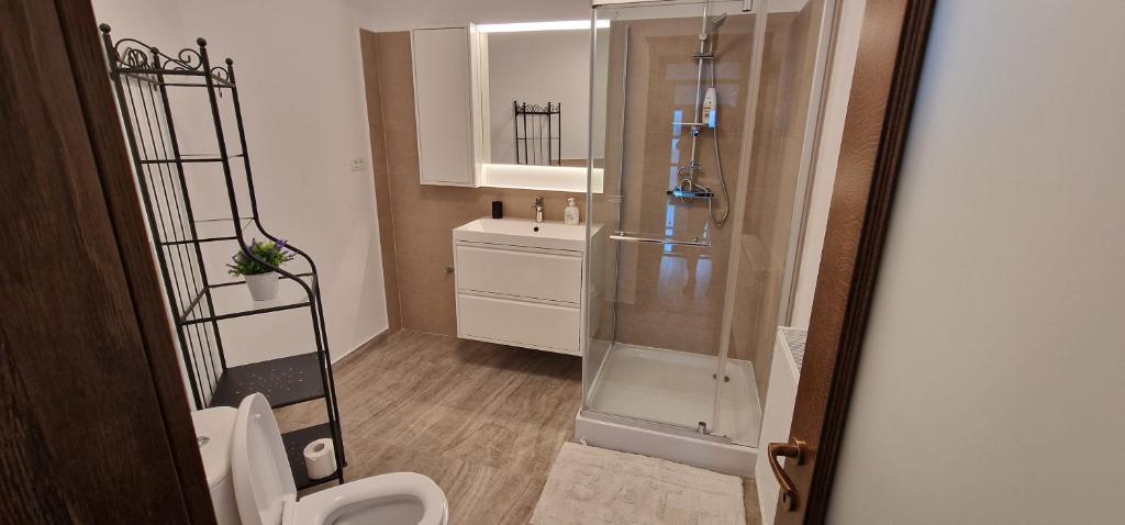 Koupelna v ubytování Apartamente Dragasani