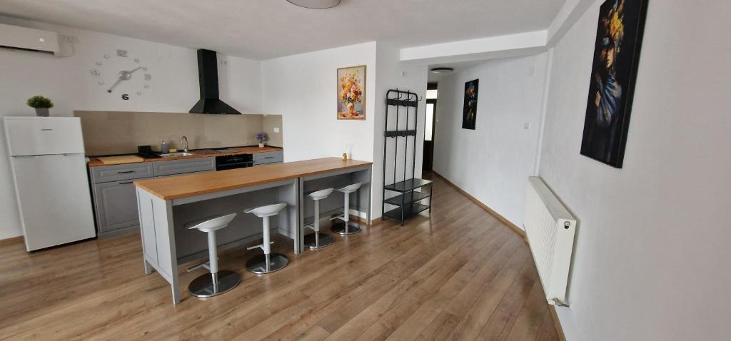 Kuchyň nebo kuchyňský kout v ubytování Apartamente Dragasani