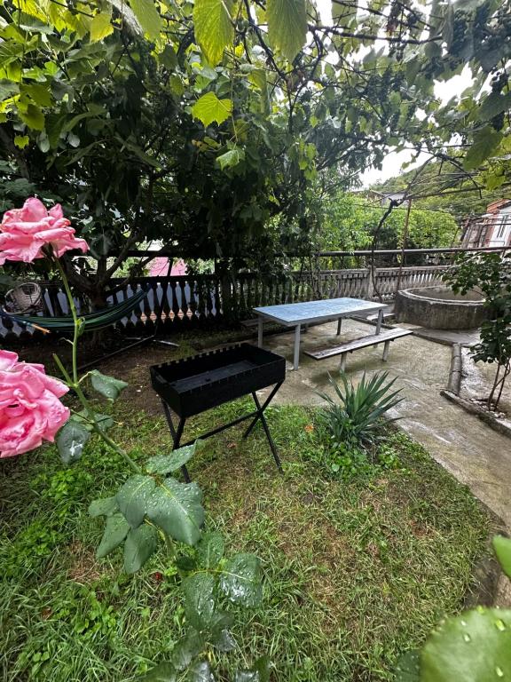 Zahrada ubytování Shota's Guest House