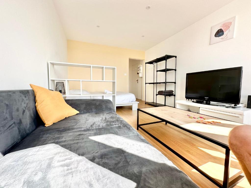 un salon avec un canapé et une télévision à écran plat dans l'établissement Le Mozart calme et fonctionnel, à Limoges