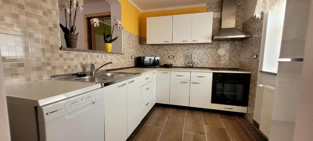 Kuchyň nebo kuchyňský kout v ubytování Apartma Brin