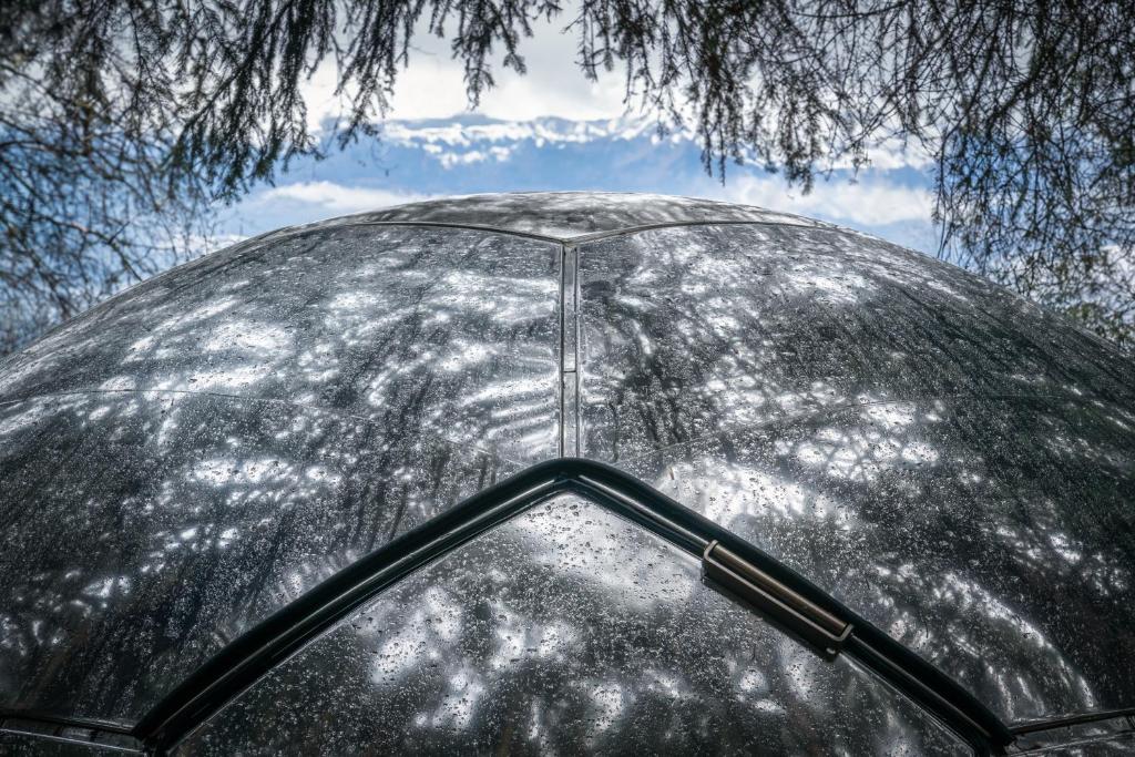 Příroda nedaleko luxury tent