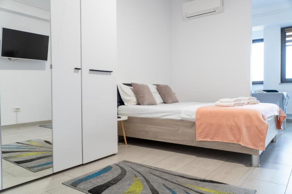 a bedroom with a bed and a tv in a room at Studio Accommodation City Center in Iaşi