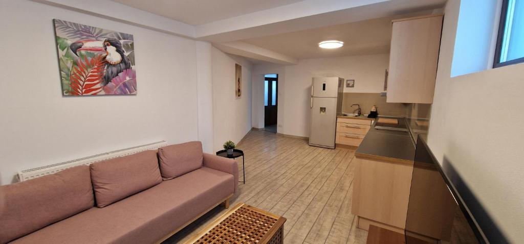 Kuchyň nebo kuchyňský kout v ubytování Apartamente Dragasani