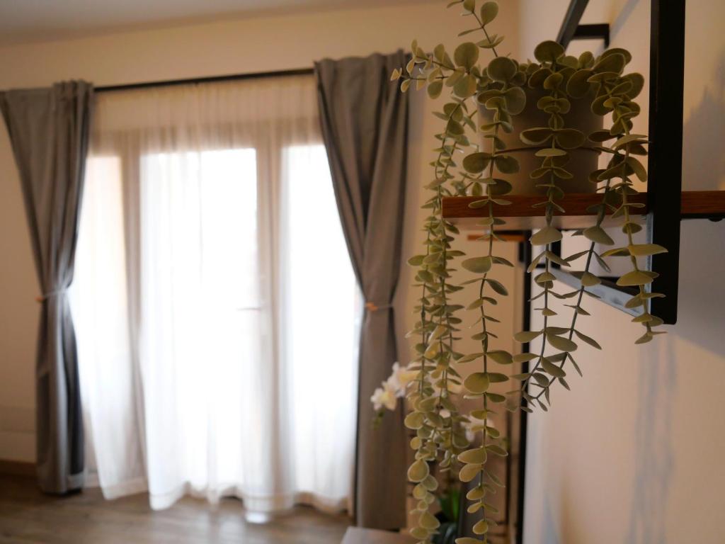 Fotografie z fotogalerie ubytování BIT home v destinaci Costa de Antigua