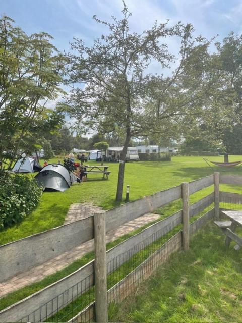 Příroda nedaleko luxury tent