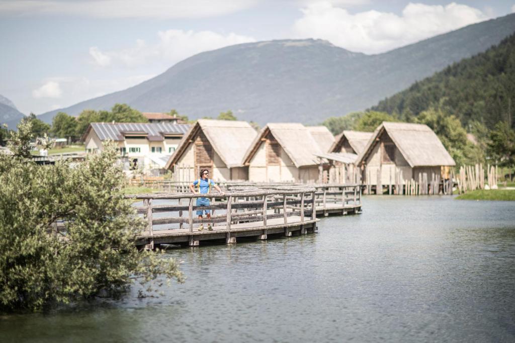 Příroda nedaleko apartmánu