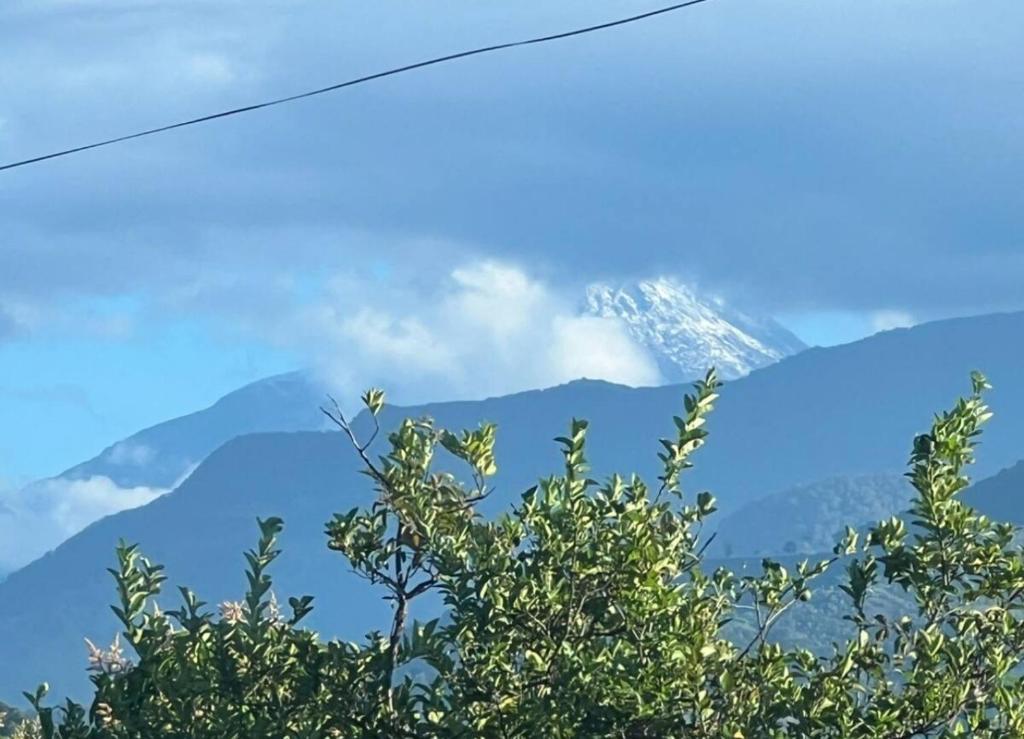 a mountain in the distance with a tree in the foreground at Apartamento campestre 101 in Ibagué
