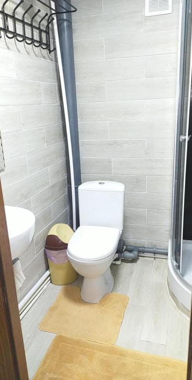 Город Окница, улица дом 46, квартира 11 - One-Bedroom Apartment
