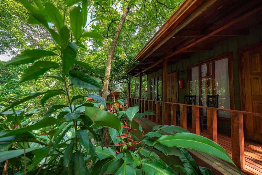a porch of a wooden cabin in the woods at Jaguarundi Jungle Lodge - Monteverde in Monteverde Costa Rica