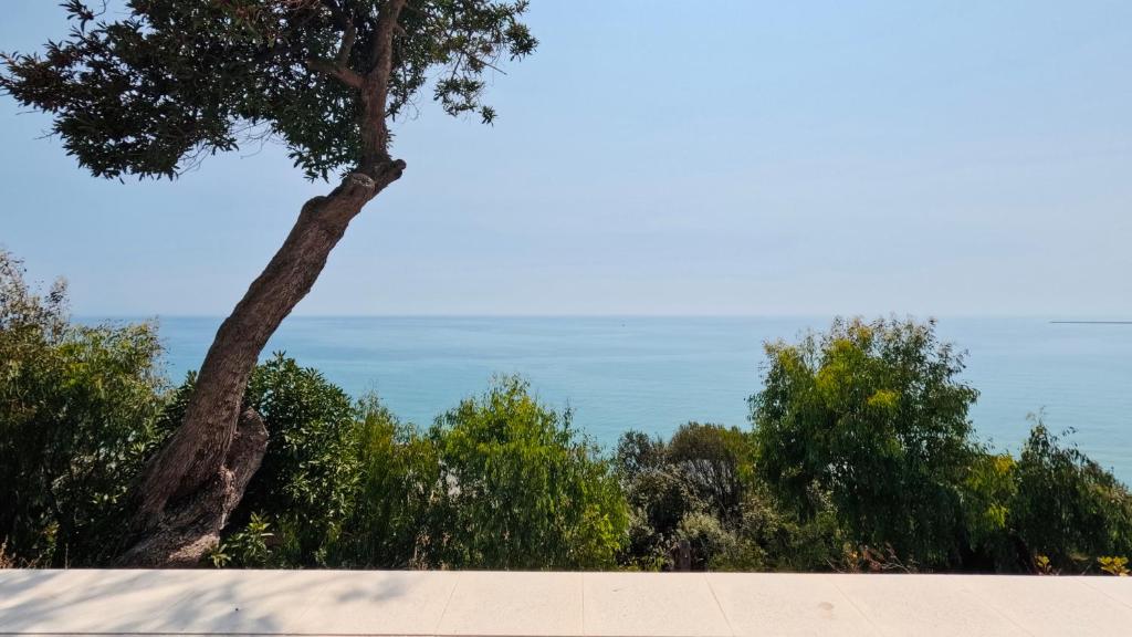 Paesaggio naturale nelle vicinanze dell'affittacamere