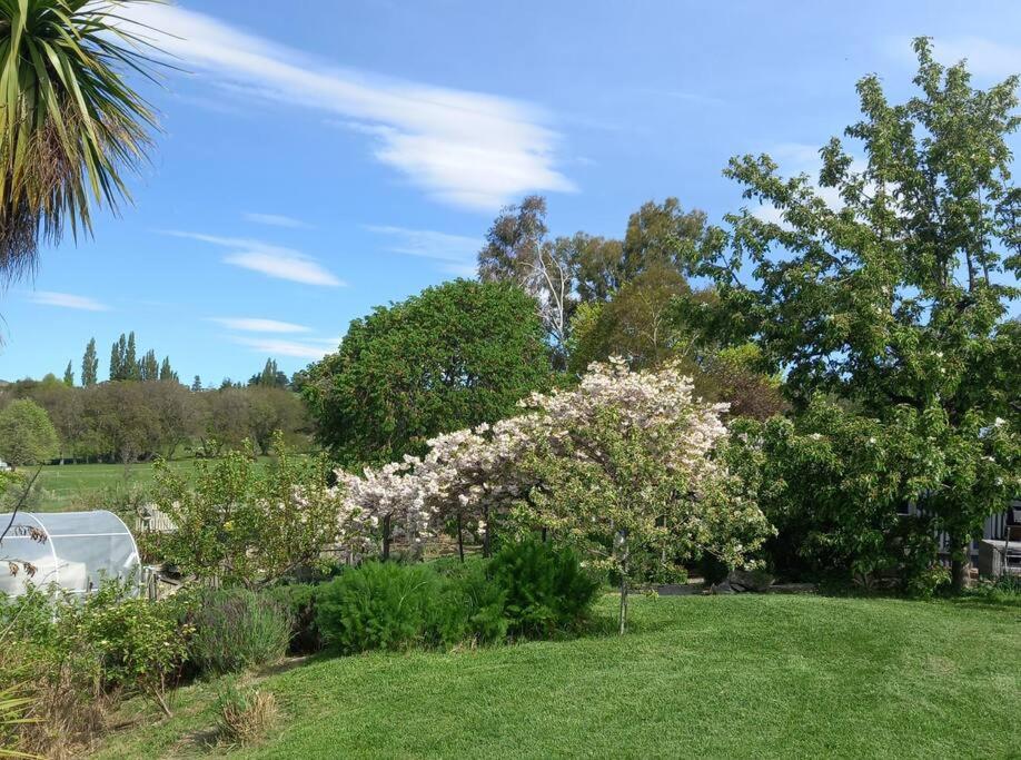 Cosy Rural Retreat - Resim 11