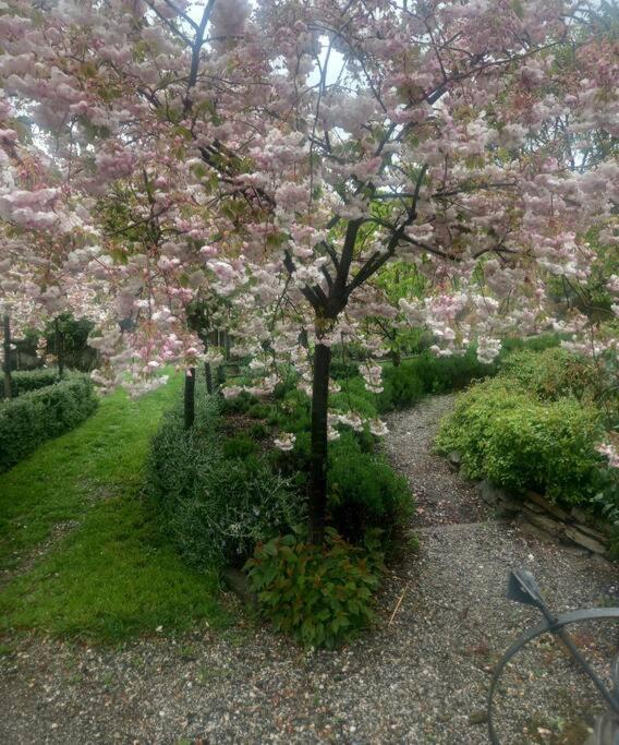 Cosy Rural Retreat - Resim 14