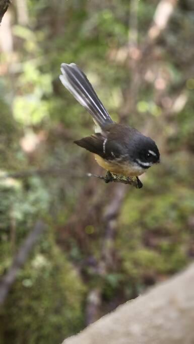 Cosy Rural Retreat - Resim 16