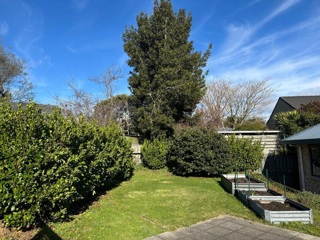 Comfort 3 bedrooms house near Redwood - Resim 15