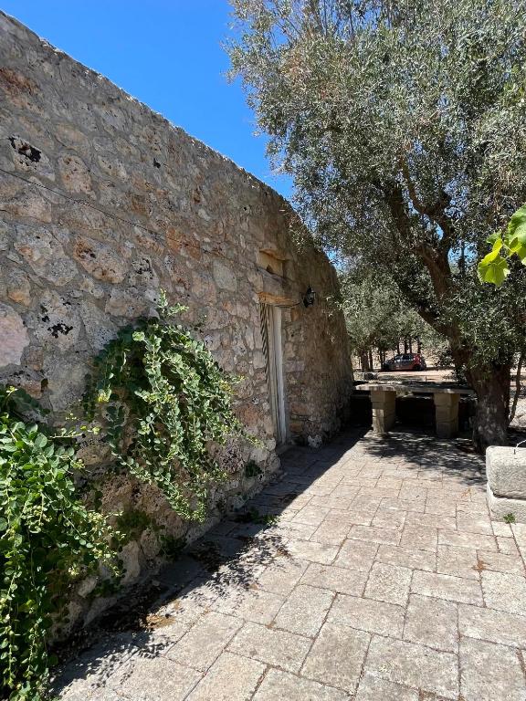 Fotografie z fotogalerie ubytování Agriturismo Salento Pietralata v destinaci Andrano
