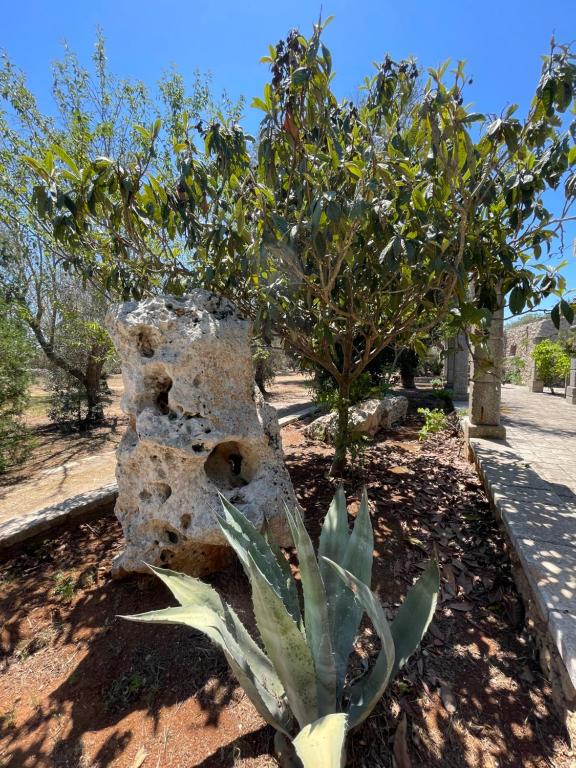Zahrada ubytování Agriturismo Salento Pietralata