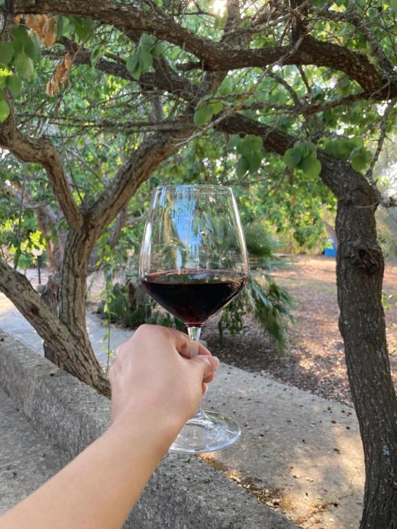 Nápoje v ubytování Agriturismo Salento Pietralata