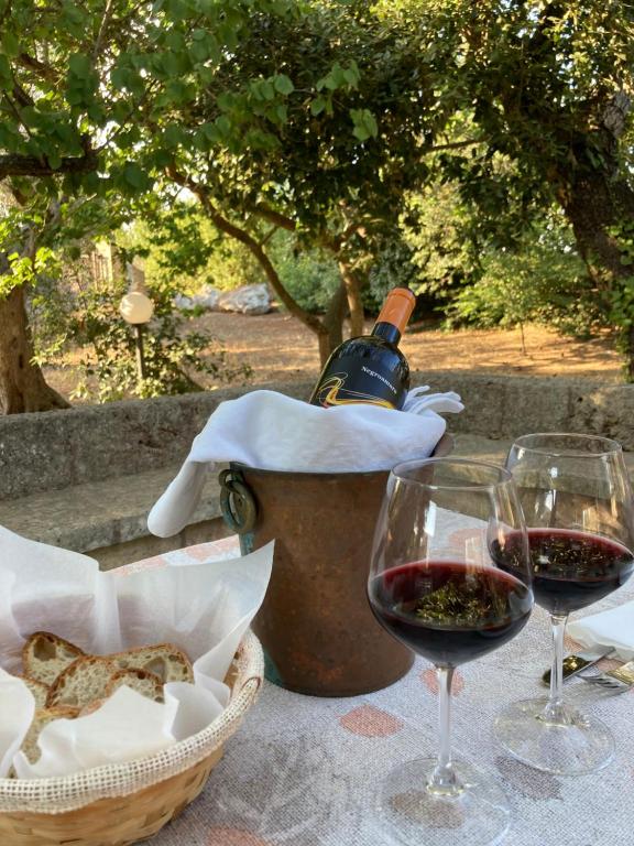 Nápoje v ubytování Agriturismo Salento Pietralata