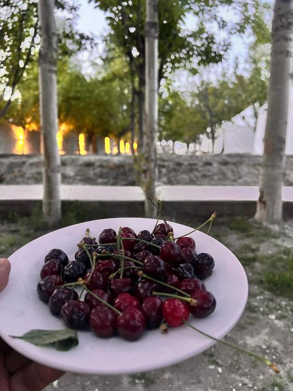 Fotografie z fotogalerie ubytování Apex Hotels and Resorts Skardu v destinaci Skardu
