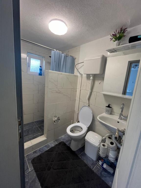 Koupelna v ubytování R&H apartmani