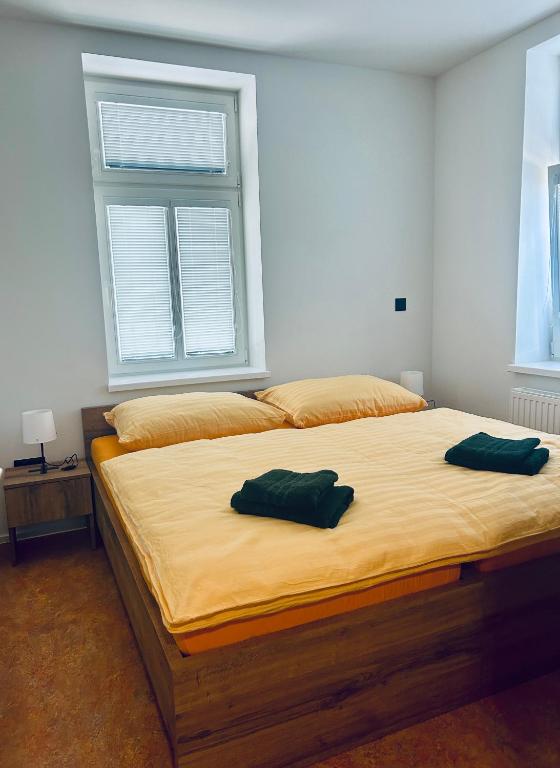 Postel nebo postele na pokoji v ubytování Vila Silva Karlova Studánka