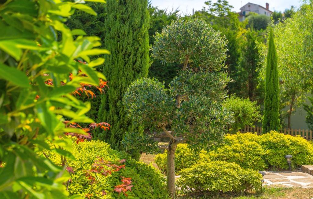 Zahrada ubytování Beautiful Casa Garden Contesses in Momjan