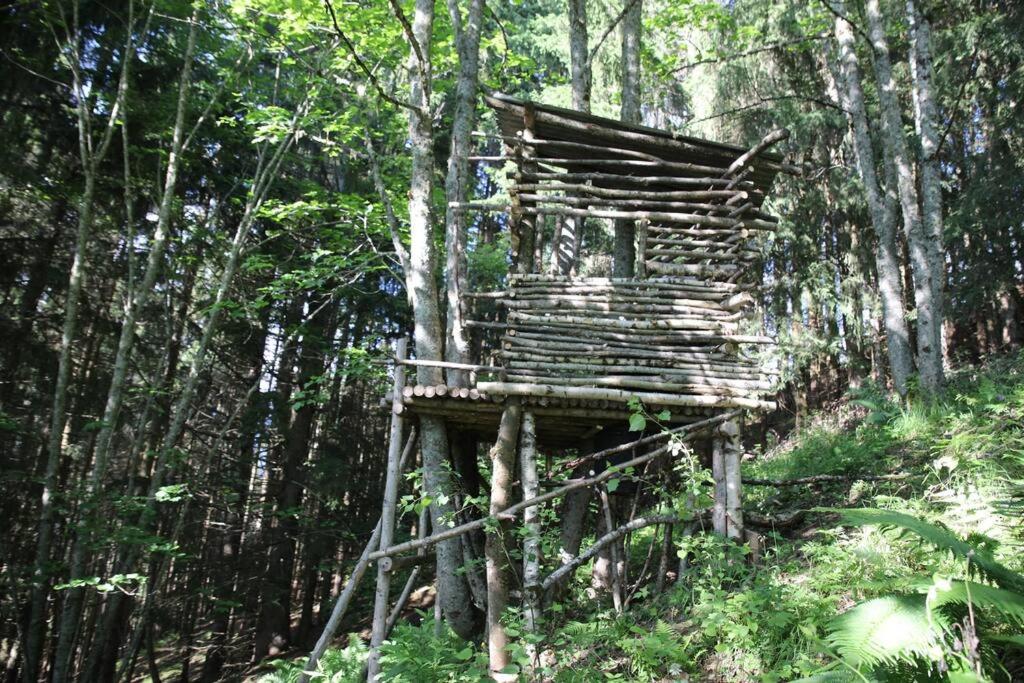 Příroda nedaleko luxury tent