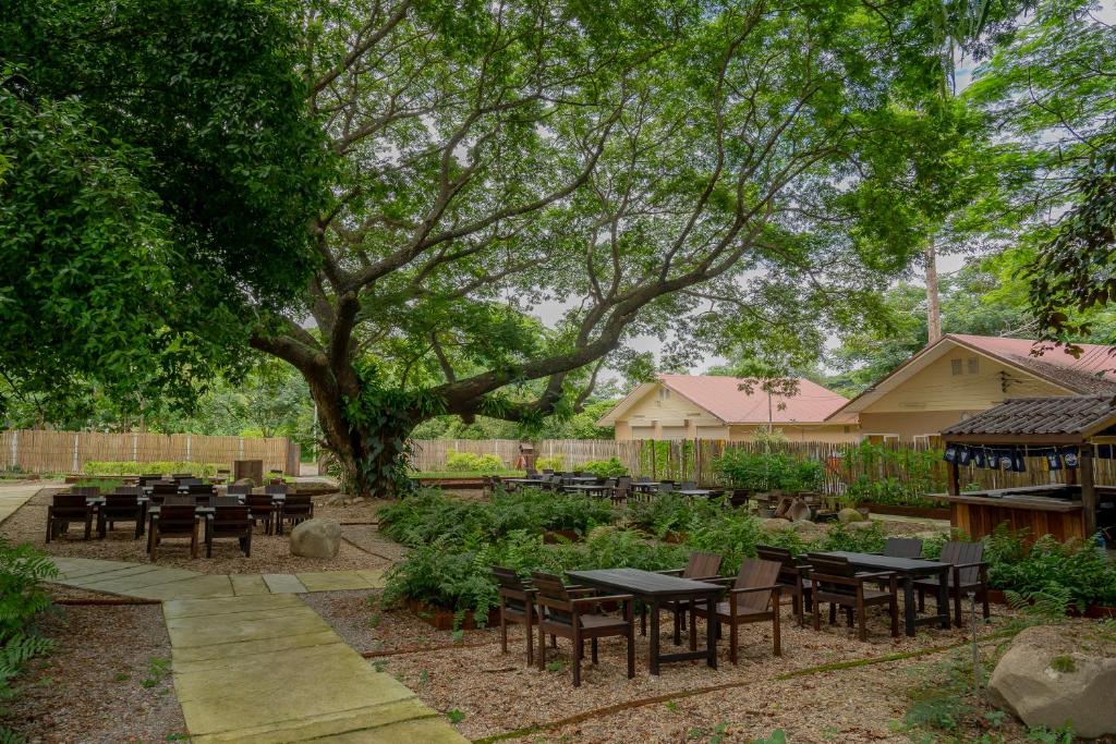 Zahrada ubytování Sirin Farm Chiang Rai