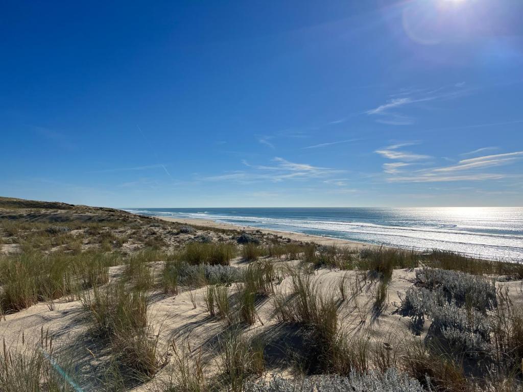 a view of a beach with grass and the ocean at Relax plage et bassin in Le Porge