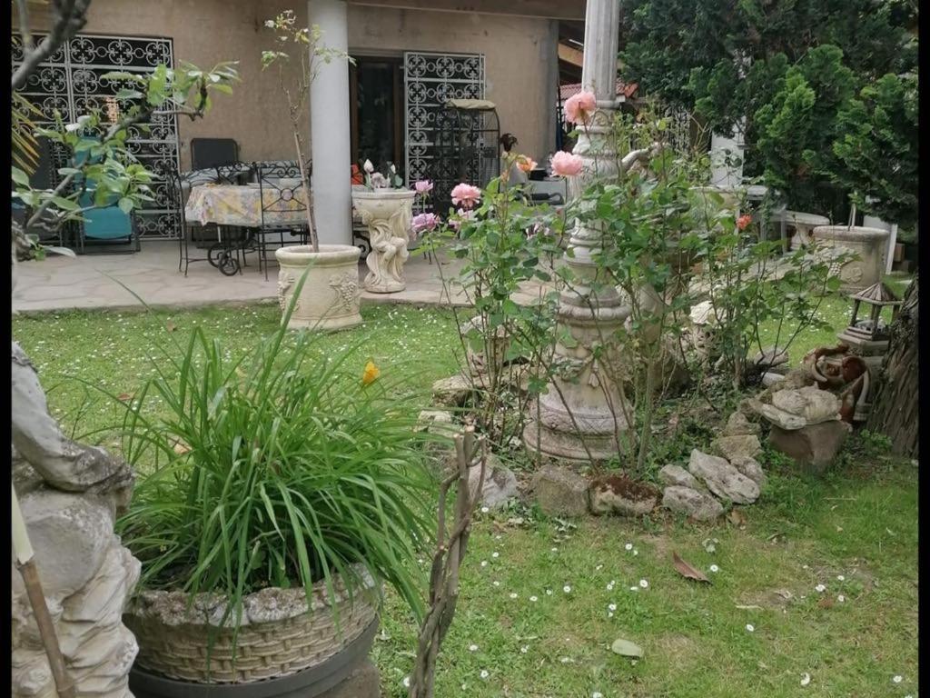 a garden with potted plants in a yard at Fastrentbnb Chambre cozy Villepinte in Villepinte