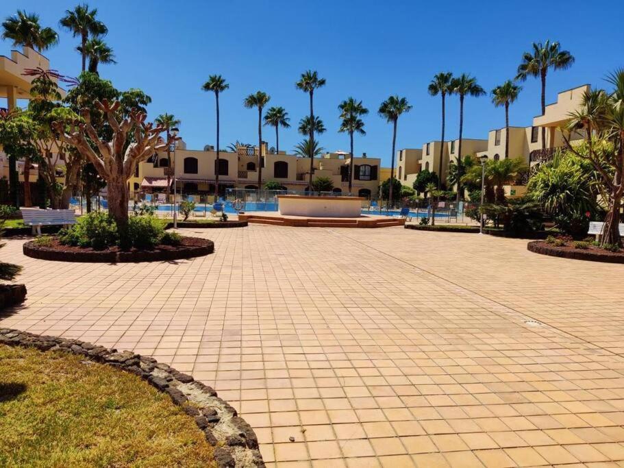 德尔锡伦西奥海岸Paraiso Tagoro Park的度假村里铺着瓷砖、种着棕榈树的庭院