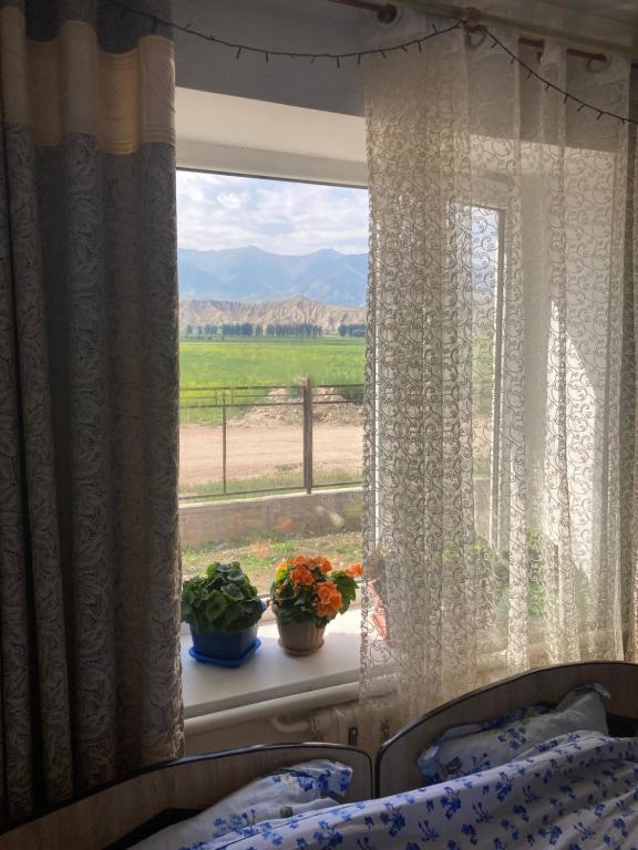 a bedroom with a window with two plants on a window sill at Gulnara guesthouse in Kochkorka