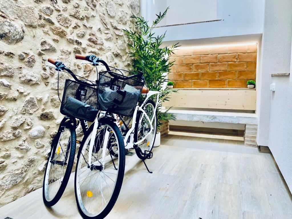 Ein Fahrrad, das neben einer Mauer mit einer Pflanze geparkt ist in der Unterkunft Hauzify I Apartament Beach&Bike in Sant Feliu de Guixols