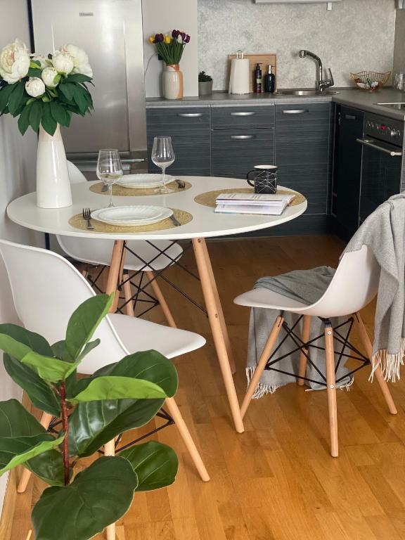 Kuchyň nebo kuchyňský kout v ubytování Victoria apartment