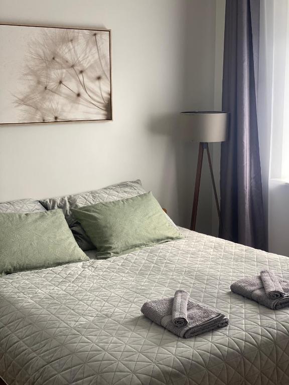 Postel nebo postele na pokoji v ubytování Victoria apartment